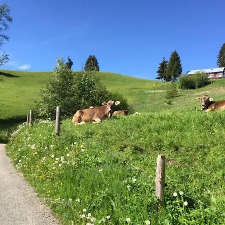 Gemutlich Eingerichtete Maisonette-wohnung Mit Balkon Und Ausblick Auf Berglandschaft אוברשטאופן