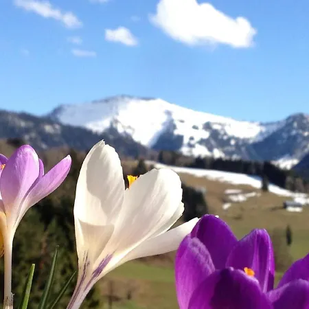 דירה Gemutlich Eingerichtete Maisonette-wohnung Mit Balkon Und Ausblick Auf Berglandschaft אוברשטאופן